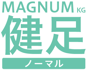 MAGNUM _logo_n2